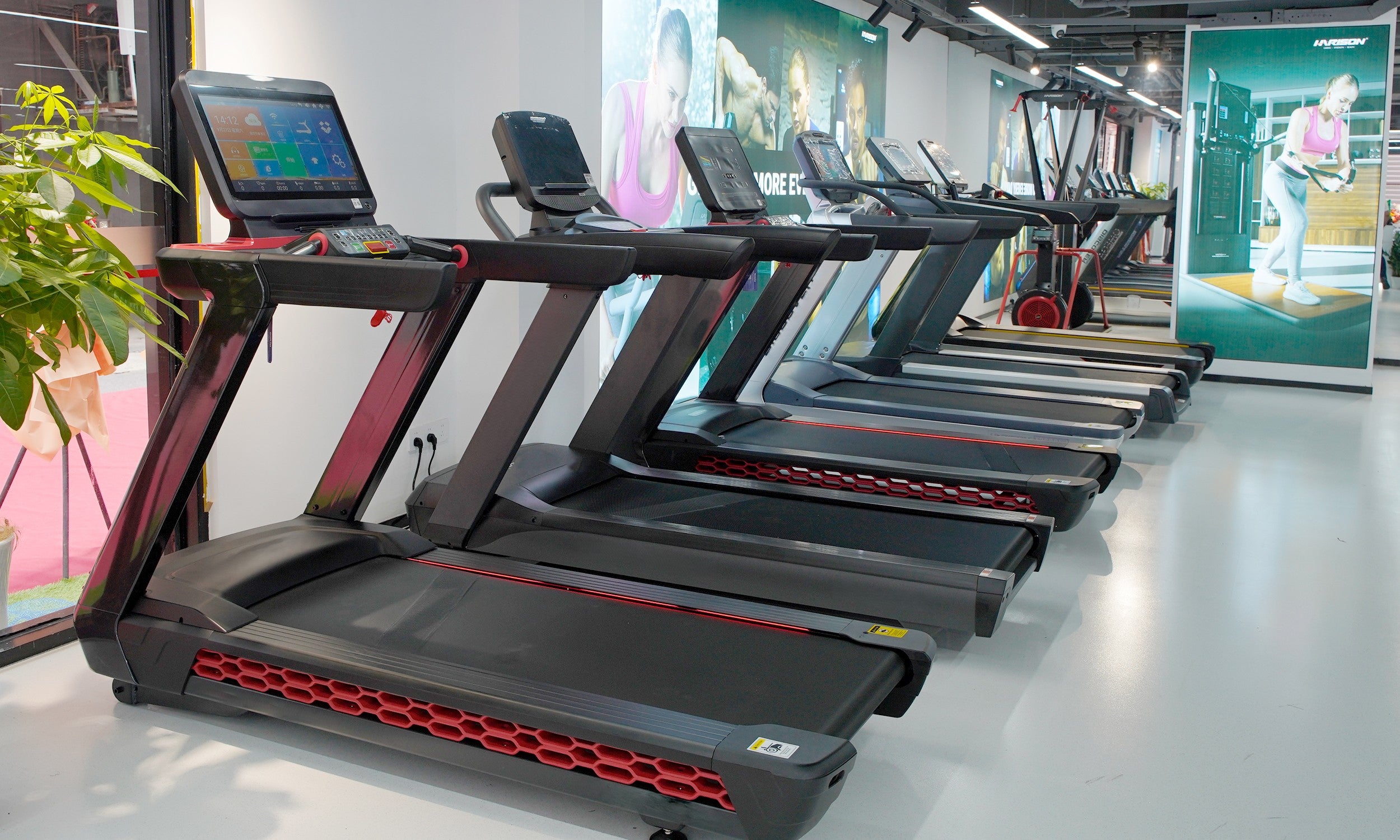 running machine/máy chạy bọ