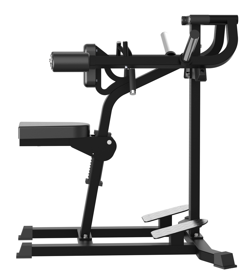 Lateral Raise/máy tập vai