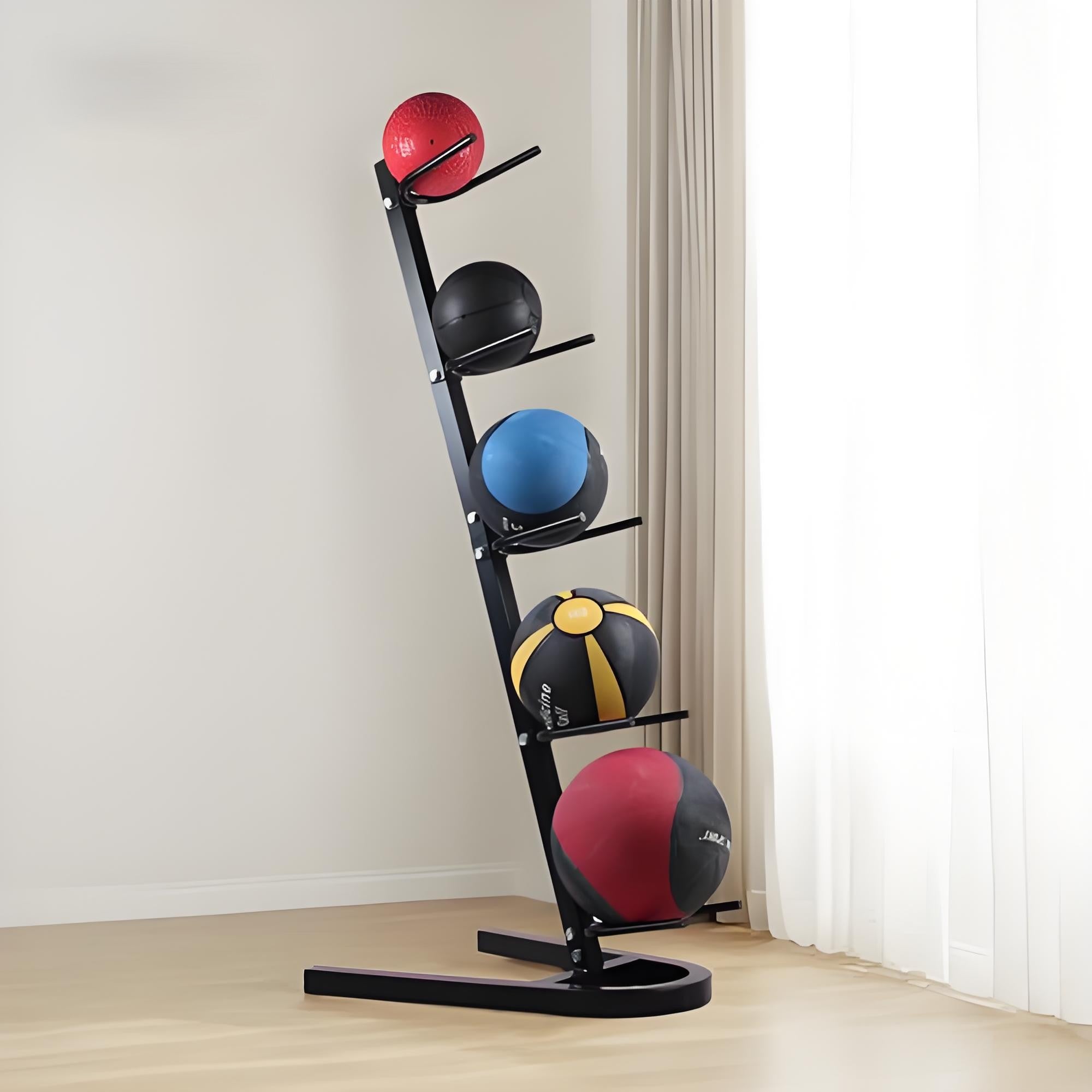 Wall Ball Rack/giá bóng