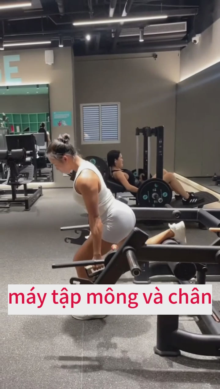 Squat Lunge Machine/máy tập mông và chân