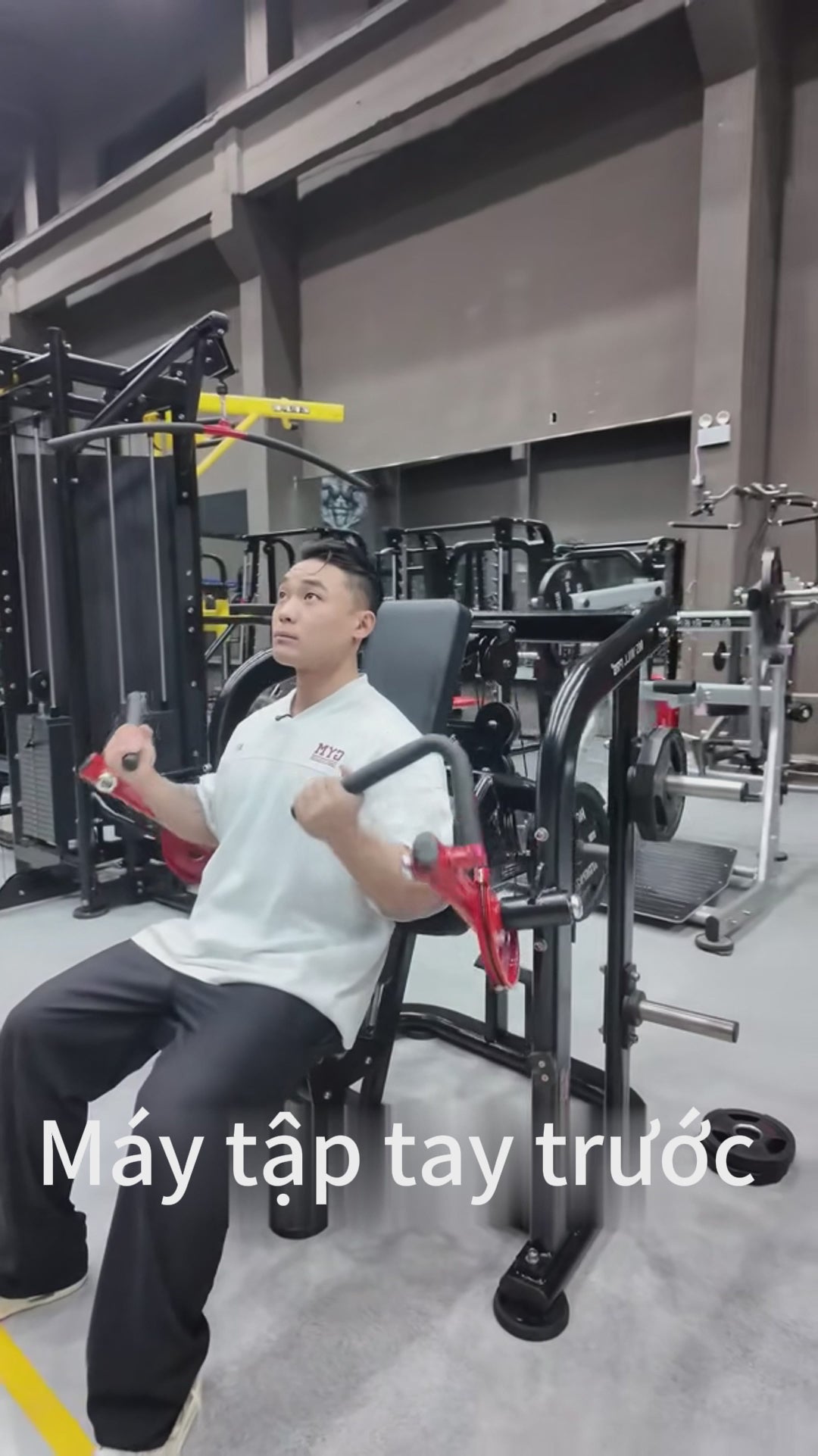 Arm Curl/Máy tập tay trước